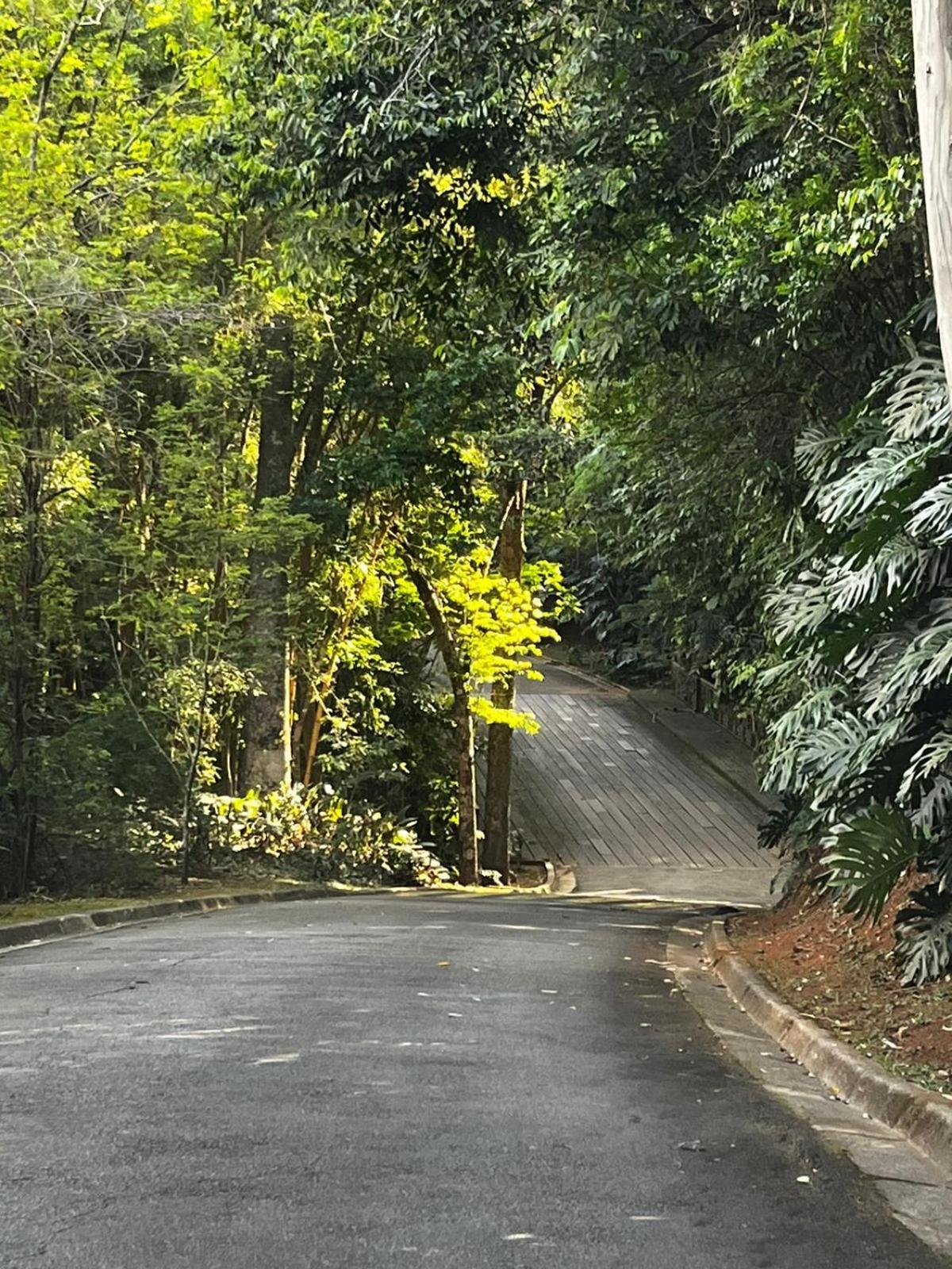 Maravilhoso Studio - Granja Brasil Itaipava Petrópolis Exteriör bild